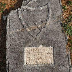 Similar image 22700169