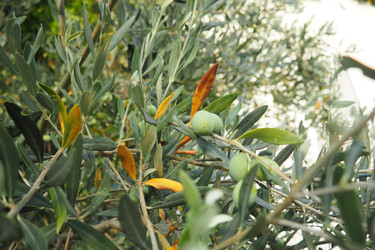 Similar image 22684012