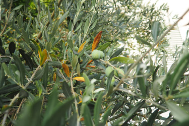 Similar image 22684130