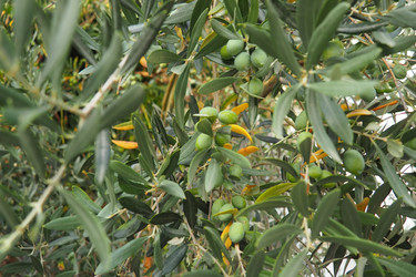 Similar image 22684265