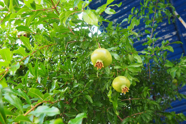 Similar image 22684266