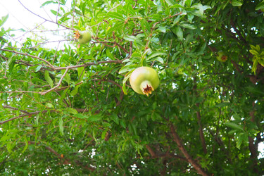 Similar image 22685792