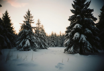 Similar image 22704995