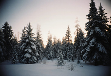 Similar image 22705668