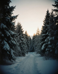 Similar image 22706088