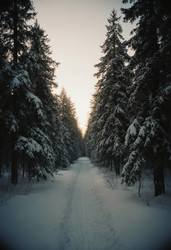 Similar image 22706900
