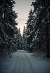 Similar image 22707711