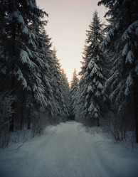 Similar image 22703885
