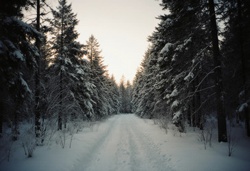 Similar image 22704022