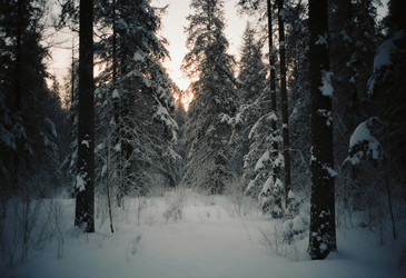 Similar image 22704576