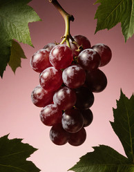 Similar image 22702551