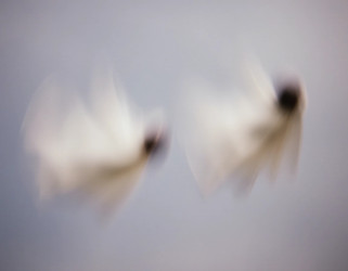 Similar image 22684209