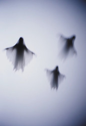 Similar image 22700248
