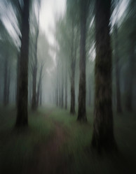 Similar image 22684088