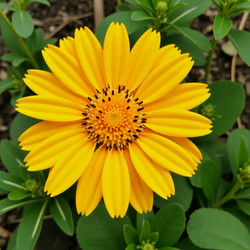 Similar image 22702881