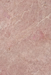 Similar image 22702630