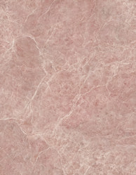 Similar image 22684132