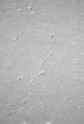 Similar image 22698475