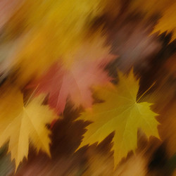 Similar image 22717471