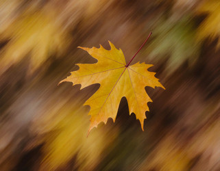 Similar image 22727561
