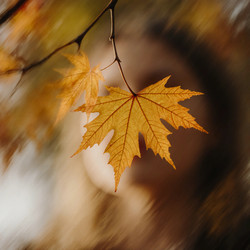 Similar image 22699139