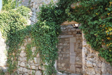 Similar image 22717306