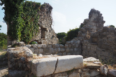 Similar image 22727893