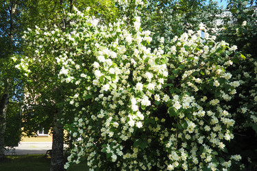 Similar image 22675098