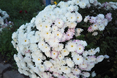 Similar image 22706064