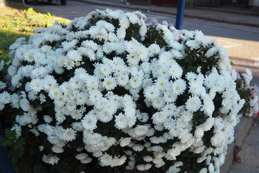 Similar image 22706453