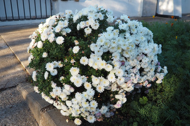 Similar image 22706874
