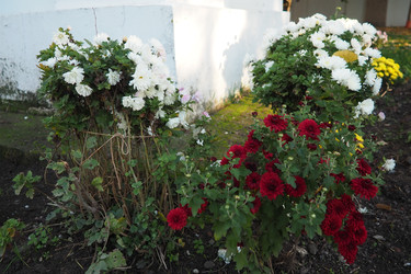 Similar image 22708084