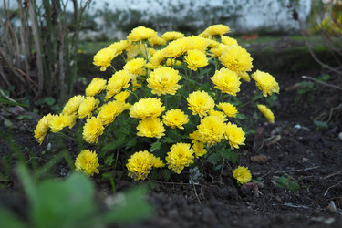 Similar image 22717278