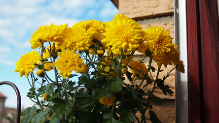 Similar image 22717397