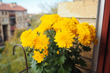 Similar image 22727611