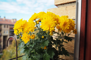 Similar image 22727731