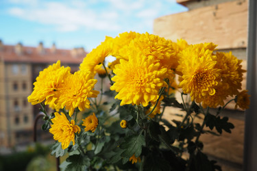 Similar image 22727851