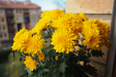 Similar image 22727986