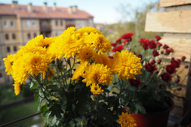Similar image 22728103