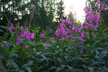 Similar image 22699302