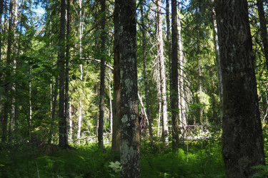 Similar image 22702509