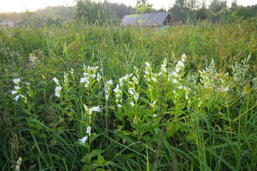 Similar image 22704141