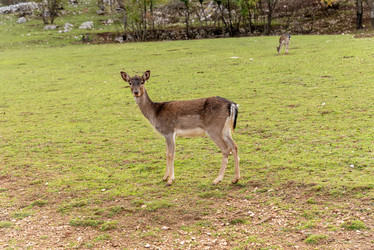 Similar image 22648764