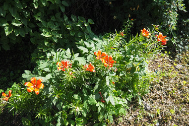 Similar image 22706483