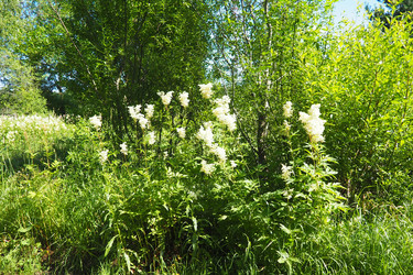 Similar image 22700831