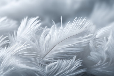 Similar image 22726706