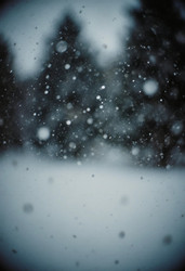 Similar image 22697804