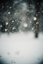 Similar image 22698405