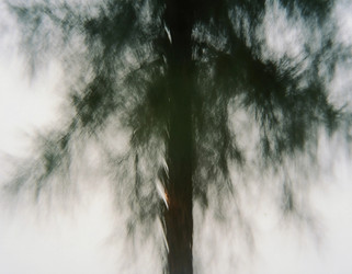 Similar image 22717472