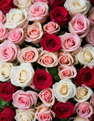 Similar image 22686005